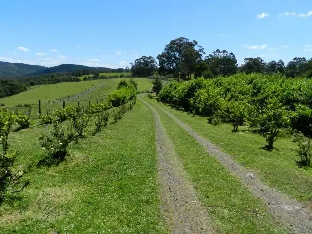 Second view of Homely rural property listing, 319 Christies-Albert River Road, Hiawatha VIC 3971