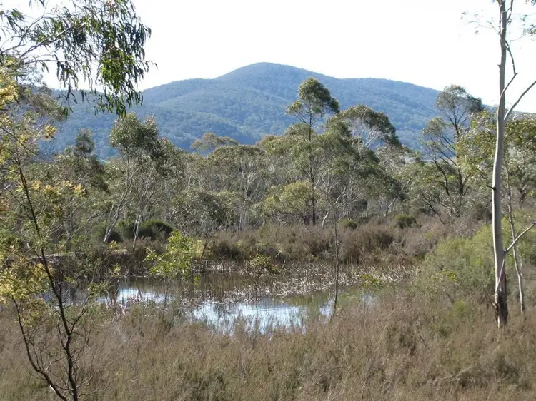 1495 Cooma Road, Braidwood NSW 2622