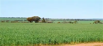 Main view of Homely rural property listing, Address available on request