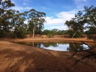 Main view of Homely rural property listing, * Back Booroomugga, Cobar NSW 2835