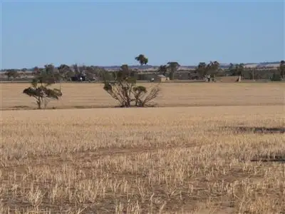 Fifth view of Homely rural property listing, 927 Solomon Road, Quairading WA 6383