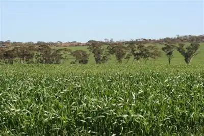 Main view of Homely rural property listing, Address available on request