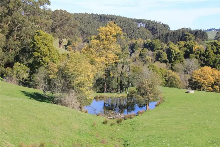 Seventh view of Homely rural property listing, 327 Ferndale Road, Ferndale VIC 3821