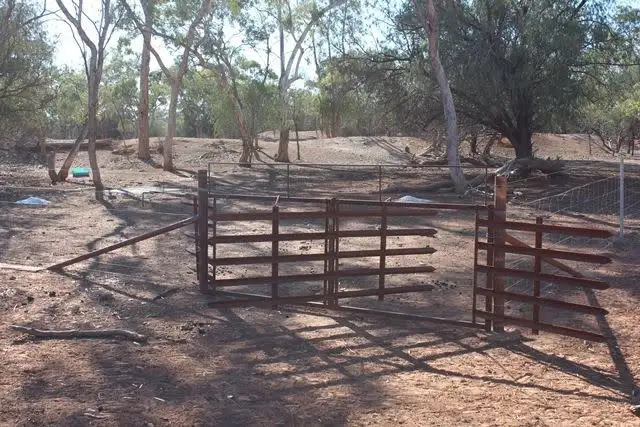 Sixth view of Homely rural property listing, * Karoo, Cobar NSW 2835