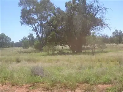 Fourth view of Homely rural property listing, " Wilbertree", Nyngan NSW 2825