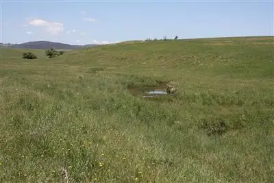 Fifth view of Homely rural property listing, 7291 The Block - Castlereagh Hwy Ilford, Mudgee NSW 2850