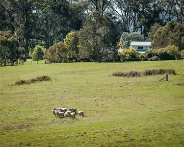 Third view of Homely rural property listing, 792 Tames Road, Strathbogie VIC 3666