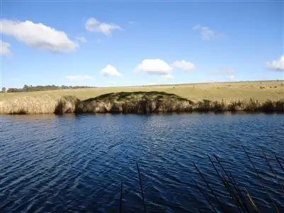 Fourth view of Homely rural property listing, 1521 Canyonleigh Road, Canyonleigh NSW 2577