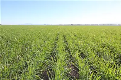 Second view of Homely rural property listing, Lalagooli/1399 Normans Rd, Gunnedah NSW 2380