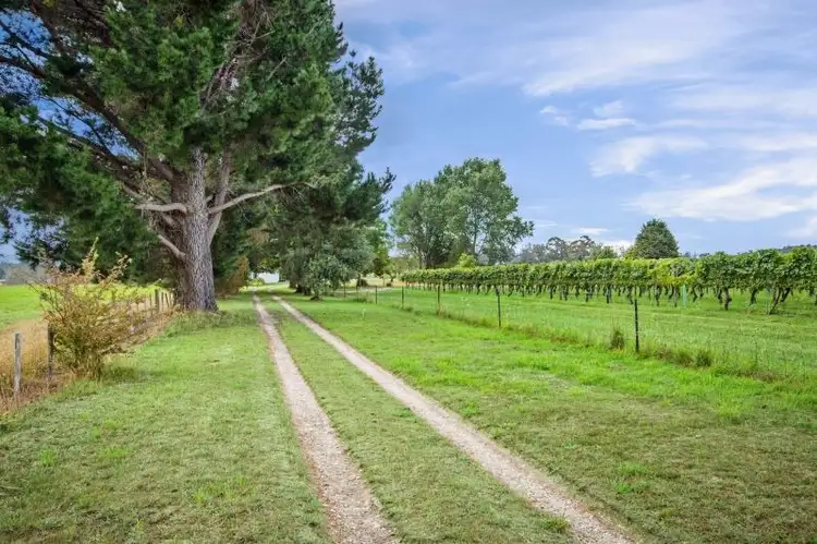 Third view of Homely house listing, 197 Loop Road, Glengarry TAS 7275