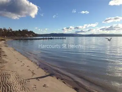 Sixth view of Homely house listing, 197 St Helens Point Road, Stieglitz TAS 7216