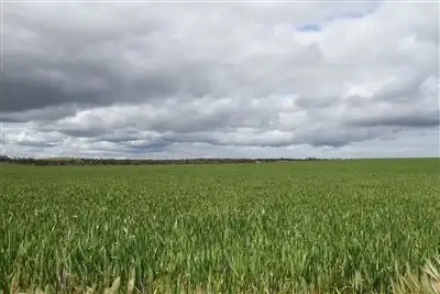 Main view of Homely rural property listing, Address available on request