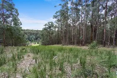 Third view of Homely rural property listing, 38 Gunn Road, Crossover VIC 3821
