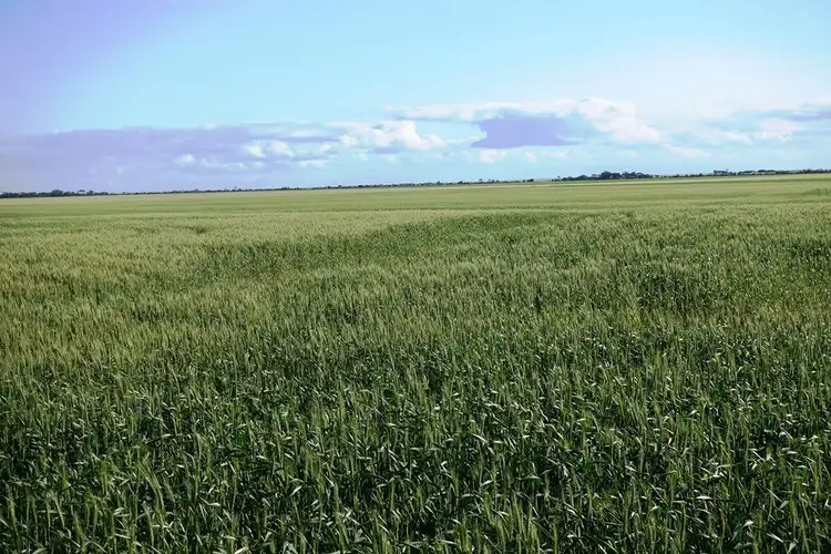 Second view of Homely rural property listing, 24E Spencer Highway, Wauraltee SA 5573