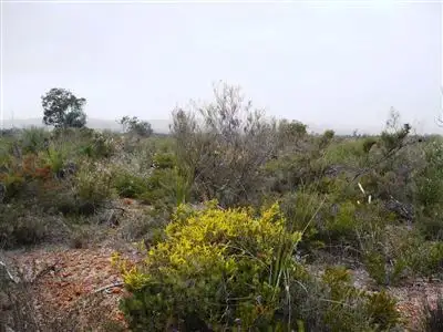 Sixth view of Homely land listing, 161 Wannamal West Road, Gingin WA 6503