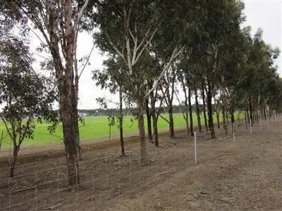 Second view of Homely rural property listing, Corner Stringers Road & Yando Road, Boort VIC 3537