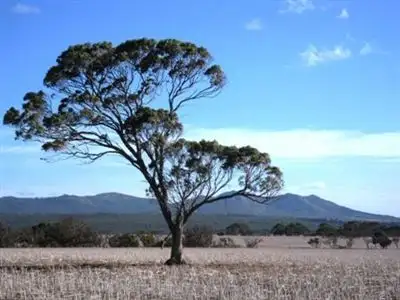 Fourth view of Homely rural property listing, Address available on request