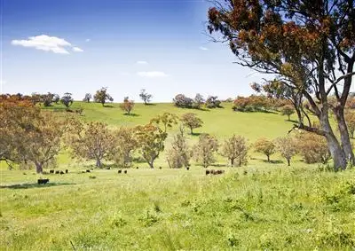 Sixth view of Homely rural property listing, 1097 Warrah Creek Road, Willow Tree NSW 2339