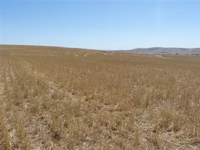 Third view of Homely rural property listing, Sect 145 Tarcowie Peterborough Road & Briars Road, Tarcowie SA 5431