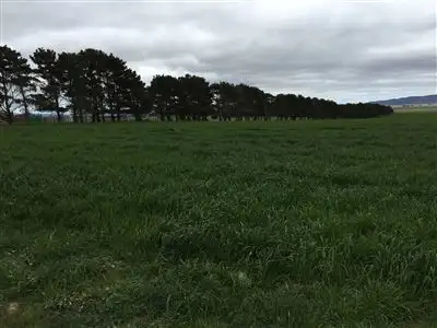 Second view of Homely rural property listing, Lot 9 Windellama Road, Goulburn NSW 2580