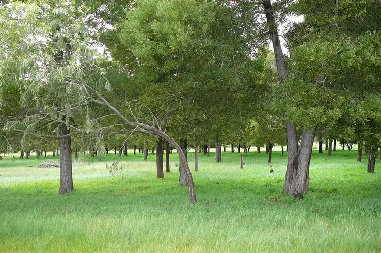 Second view of Homely land listing, 112 Henderson Rd, Kangaroo Gully WA 6255