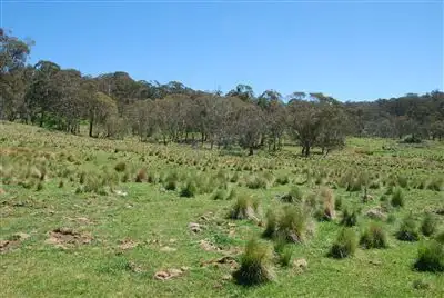 Fourth view of Homely rural property listing, 215 Merlin Downs Road, Niangala NSW 2354