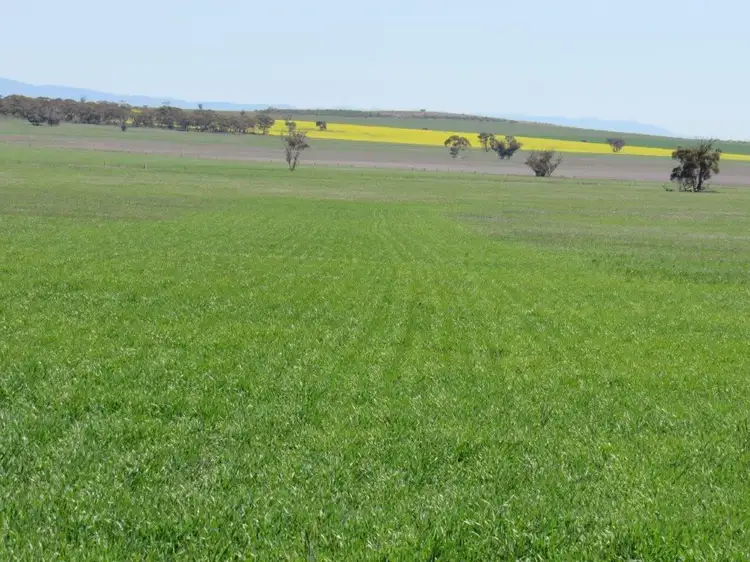 Lot 37M Whim Road, Booleroo Centre SA 5482