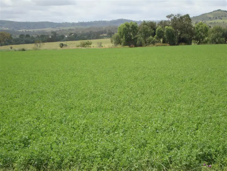 Sixth view of Homely rural property listing, 442 O'Connor Road, Haden QLD 4353