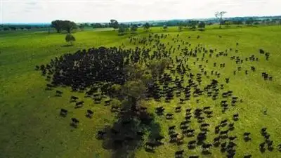 451 Clancys Road 'Merrill', Gunning NSW 2581