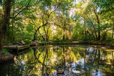 Main view of Homely house listing, 63 Wilpena Terrace, Aldgate SA 5154