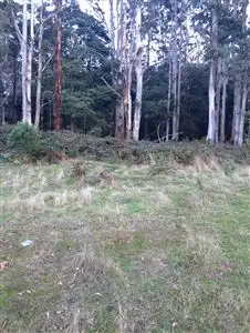 Fifth view of Homely rural property listing, . Alberton Road, Ringarooma TAS 7263