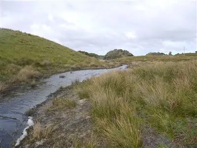 Fourth view of Homely rural property listing, 2150 South Road, Pearshape TAS 7256