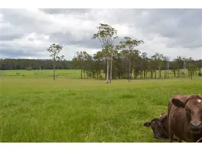 Sixth view of Homely rural property listing, 79 Rowsells Road, Wauchope NSW 2446