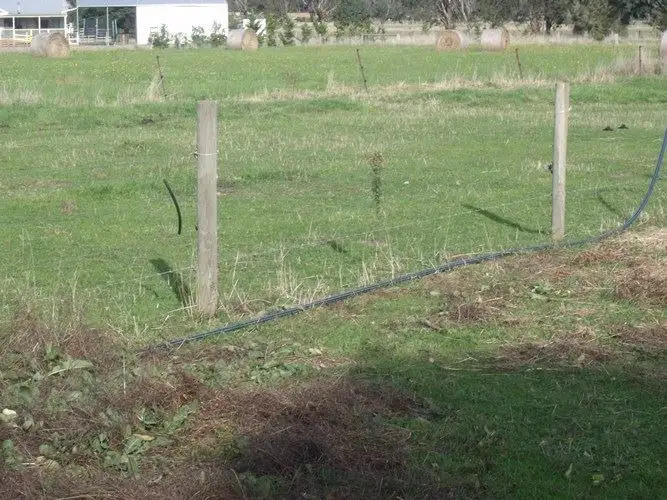Fourth view of Homely rural property listing, 31-41 McLean Street, Yarram VIC 3971