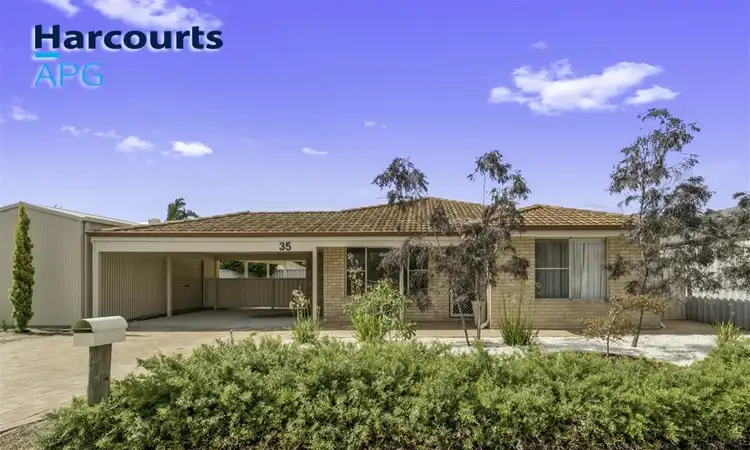 Main view of Homely house listing, 35 Celosia Way, Glen Iris WA 6230