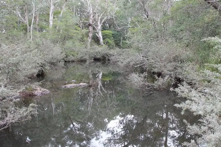Fourth view of Homely rural property listing, Lot 2 McRaes Road, Braidwood NSW 2622