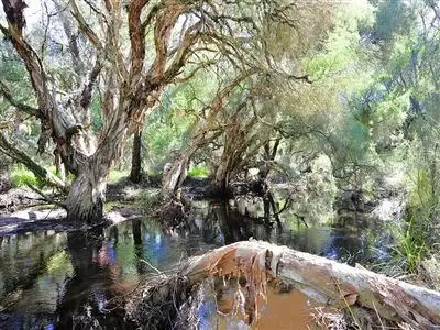 Third view of Homely land listing, Lot 544 Dirk Hartog Drive, Nambeelup WA 6207
