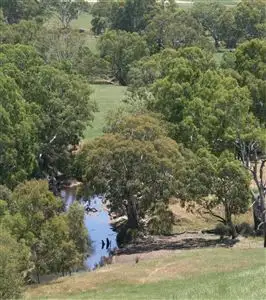 Main view of Homely rural property listing, 359 Noss Retreat Road, Casterton VIC 3311