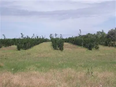 Third view of Homely rural property listing, . "Happy Home" - 505 acres, Taroom QLD 4420