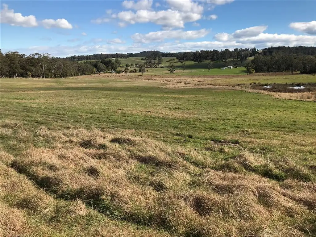 Main view of Homely rural property listing, 3196 West Tamar Highway, Sidmouth TAS 7270