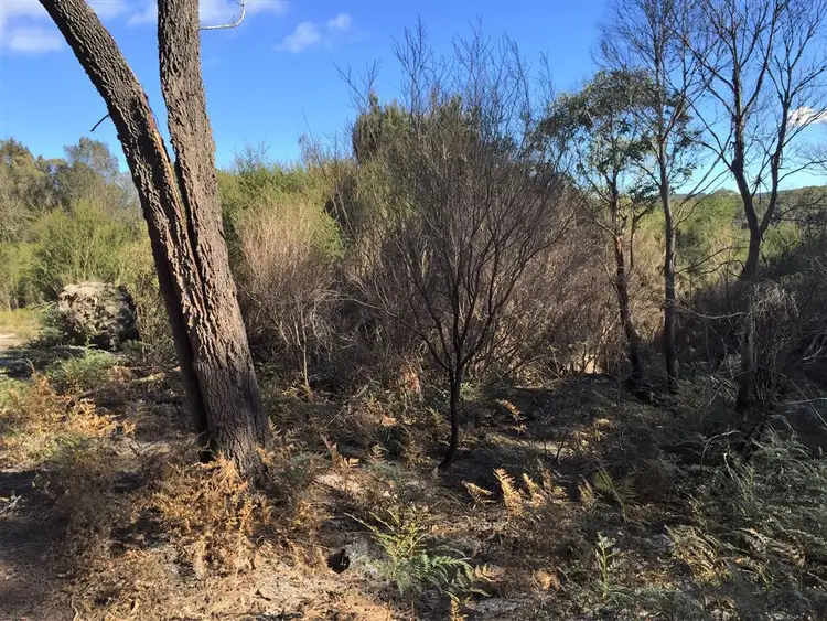 Seventh view of Homely rural property listing, . Gladstone Road, Pioneer TAS 7264