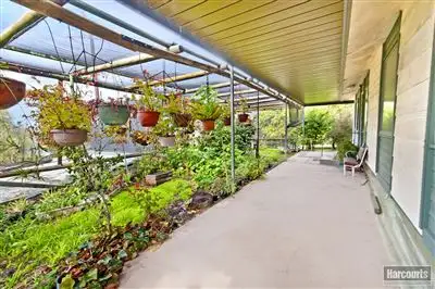 Second view of Homely rural property listing, 209 Moppa Road, Nuriootpa SA 5355