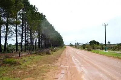 Second view of Homely rural property listing, 170 Tangletoe Road, Gingin WA 6503