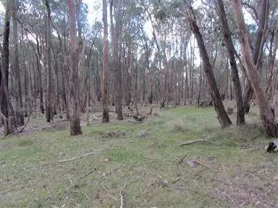 Second view of Homely rural property listing, Lot 3 Penny Lane, Ruffy VIC 3666