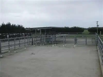 Fifth view of Homely rural property listing, 1621 Montagu Road, Montagu TAS 7330