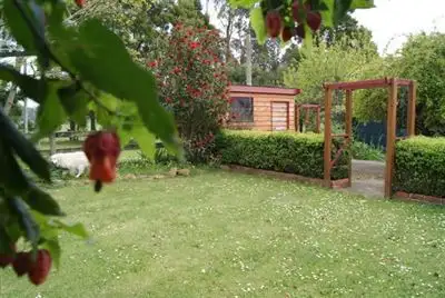 Fifth view of Homely house listing, 74 Bourkes Road, Irishtown TAS 7330
