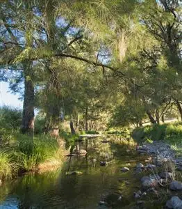 Fifth view of Homely rural property listing, Daley's Middlebrook Rd, Scone NSW 2337