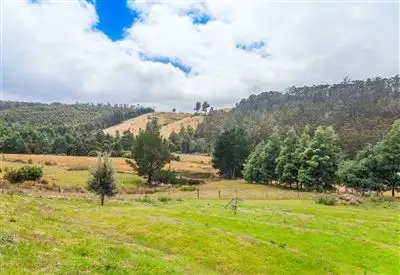 Sixth view of Homely house listing, 300 Glenbervie Road, Dover TAS 7117