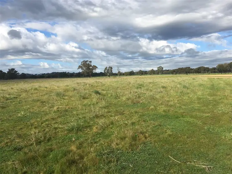 Main view of Homely rural property listing, 110 Perryman Lane, Table Top NSW 2640
