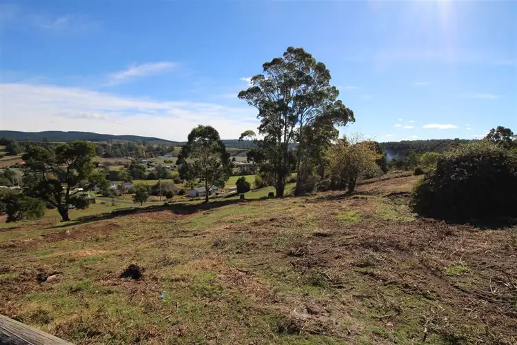 Seventh view of Homely land listing, 29-31 Scott Street, Branxholm TAS 7261